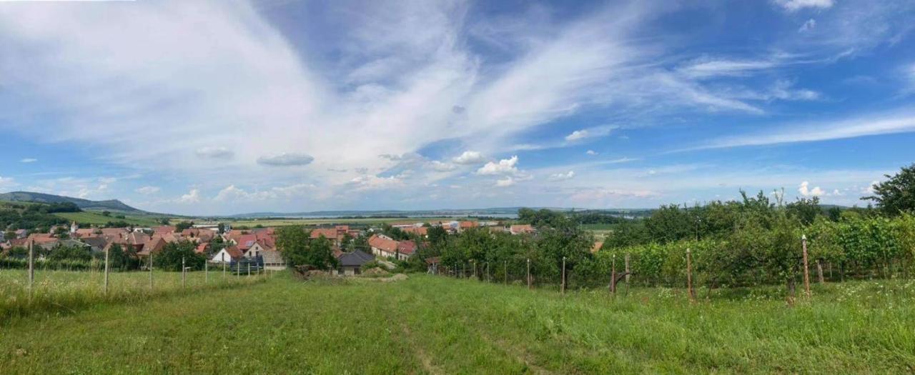 Prazdninovy Dum Na Palave S Vinnym Sklepem Milovice  Dış mekan fotoğraf