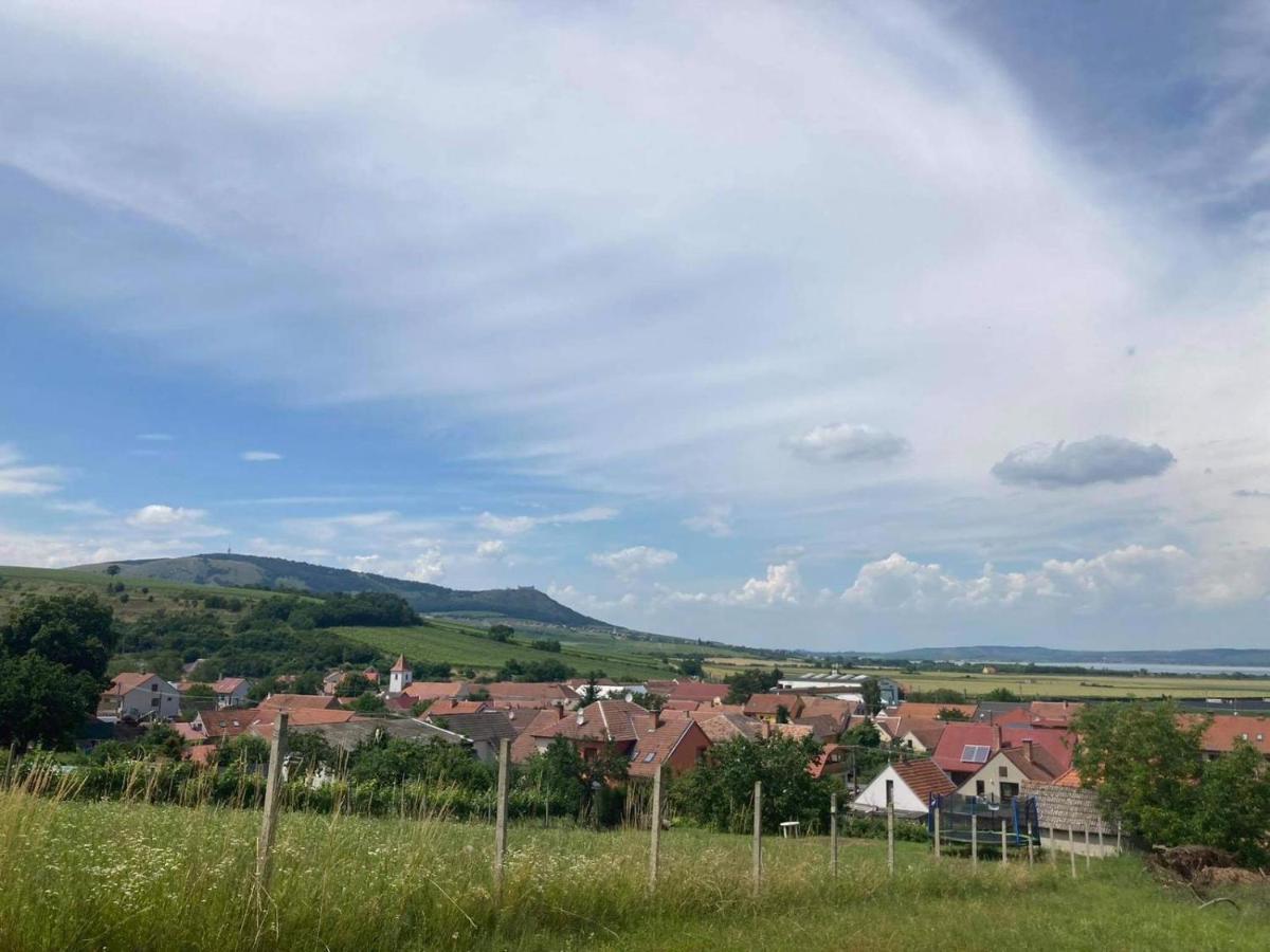 Prazdninovy Dum Na Palave S Vinnym Sklepem Milovice  Dış mekan fotoğraf